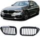 Maska Gril Performance Sjajna za BMW 5 G30 G31 17-20